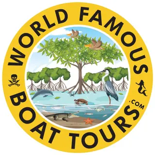 World Famous Boat Tours